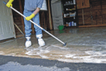 Eco-Cleaning Sevices