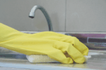Eco-Cleaning Sevices